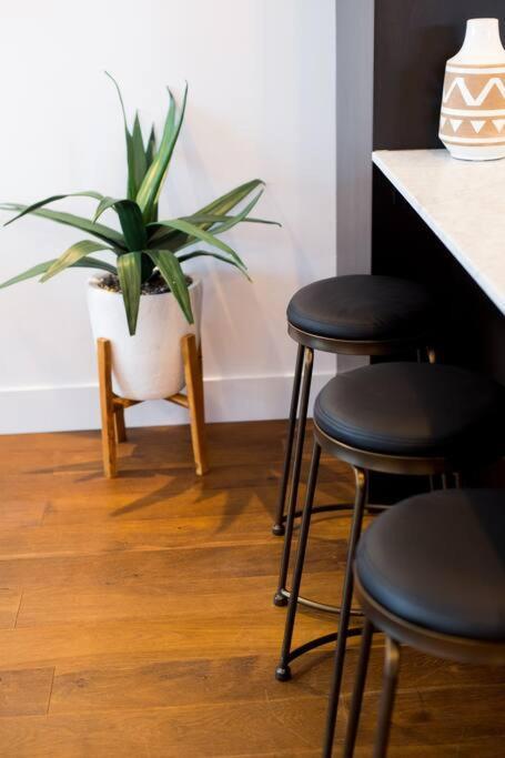 Apartment Sleek In The Heart Of Little Italy By Den